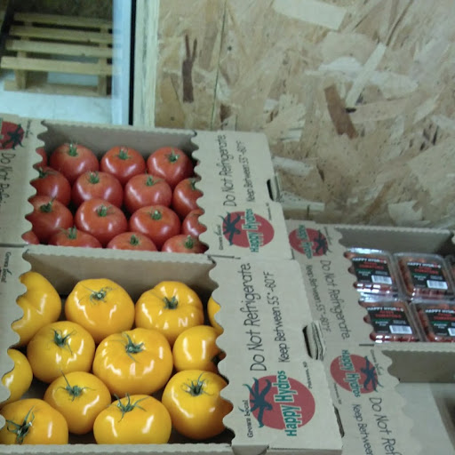 red_&_yellow